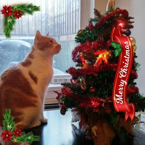 Meet your Posher, Jodi